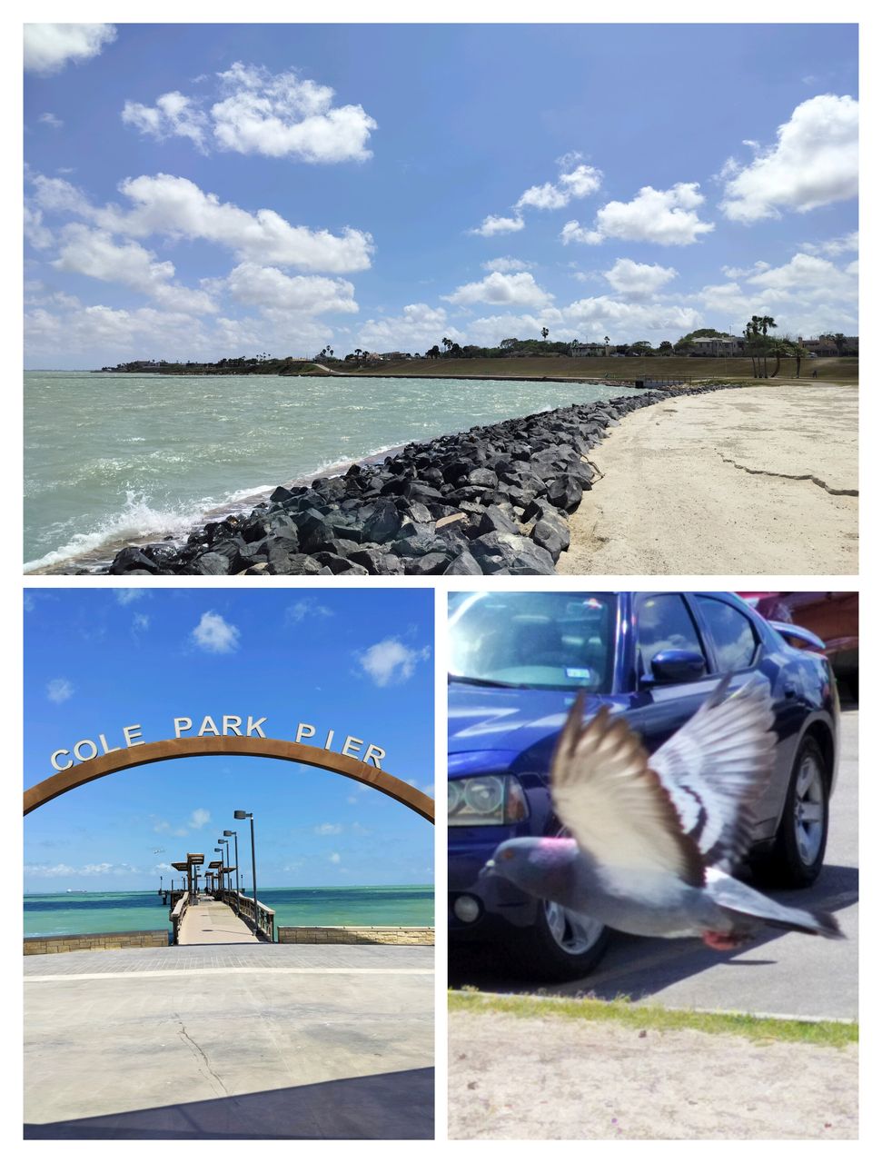 Wednesday Walk: "Wednesday at Cole Park"!