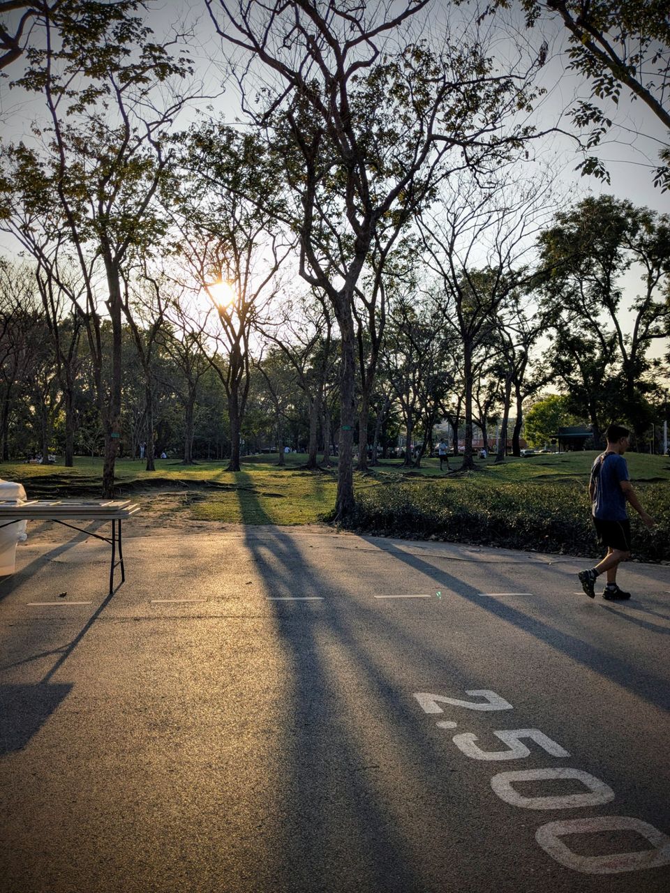 Stay Active in Bangkok: A Guide to Outdoor Fun at Suan Rot Fai Park.