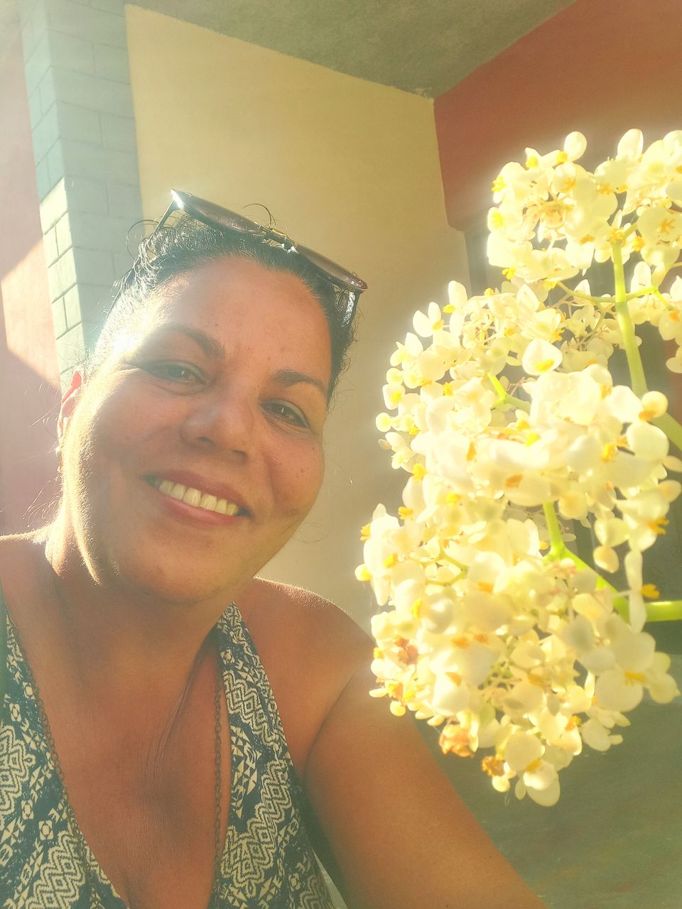 La begonia de mi madre (Es-En)