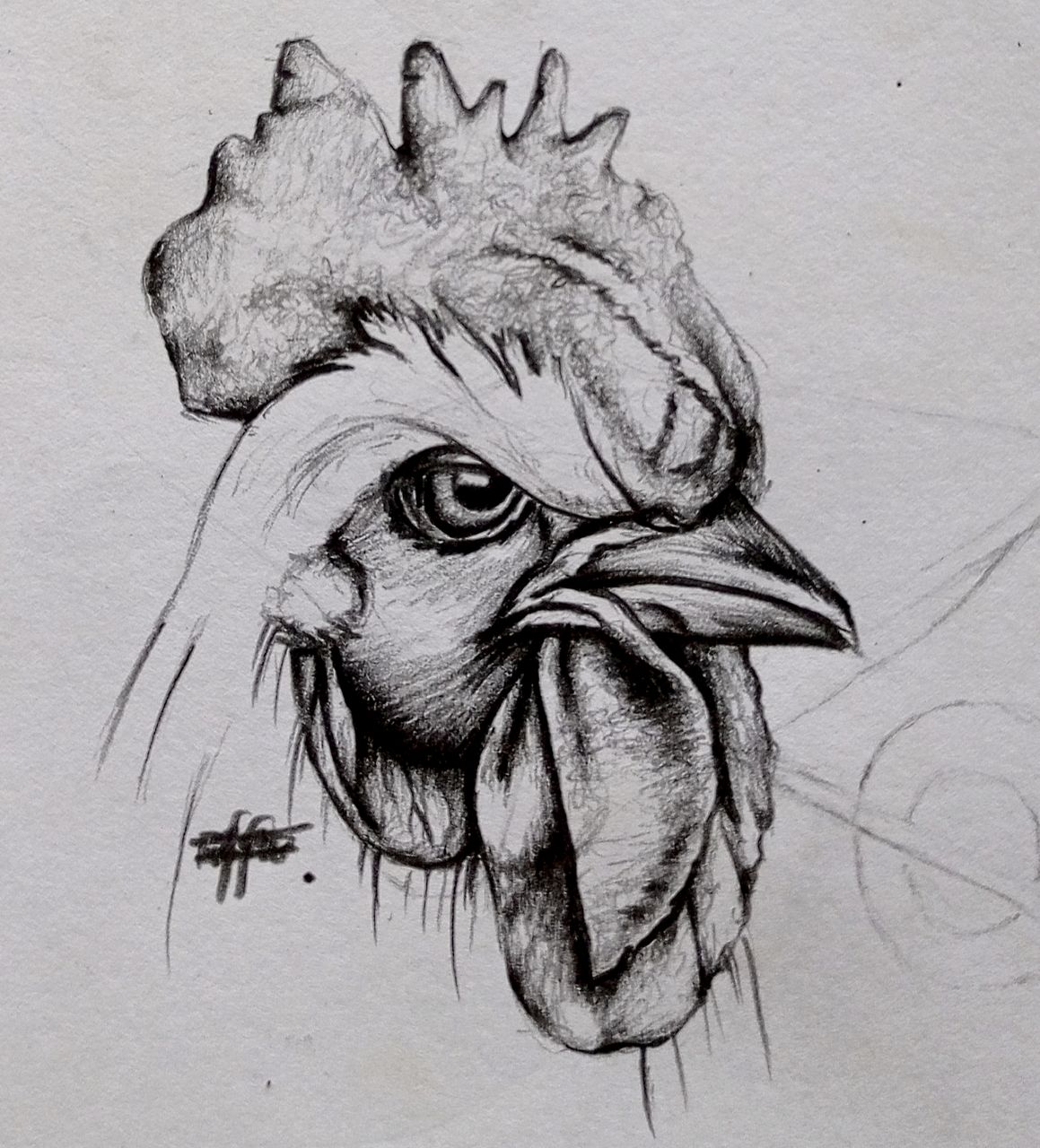 The Vigilant Rooster