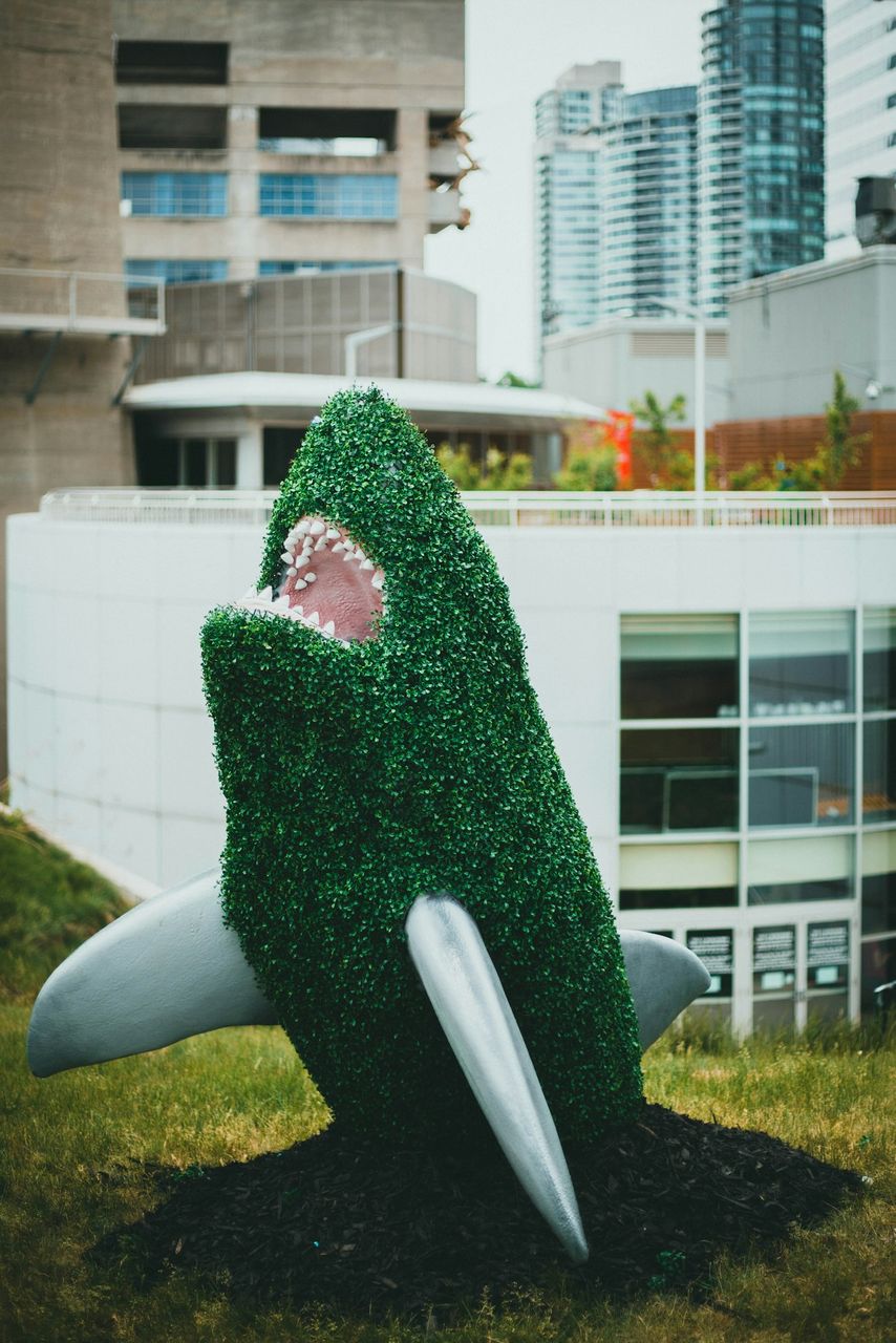 Freewrite Dailyprompt: VEGETARIAN SHARK