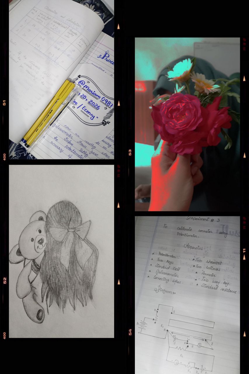 Balancing Science and Art: My Potentiometer Experiment & New Sketch 🎨🔬