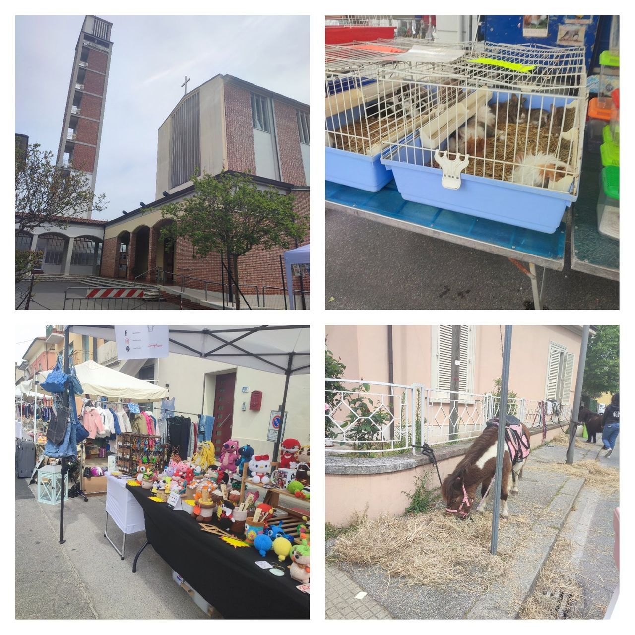 Strolling through the Montecatini spring market/ Paseando por el mercado de primavera de Montecatini.