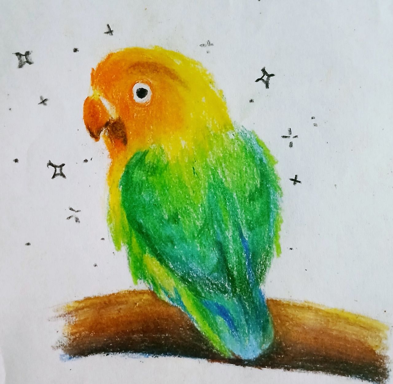Cute bird practice [ESP/ENG]