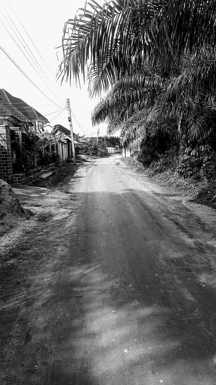 Monomad: Local Street Residents 