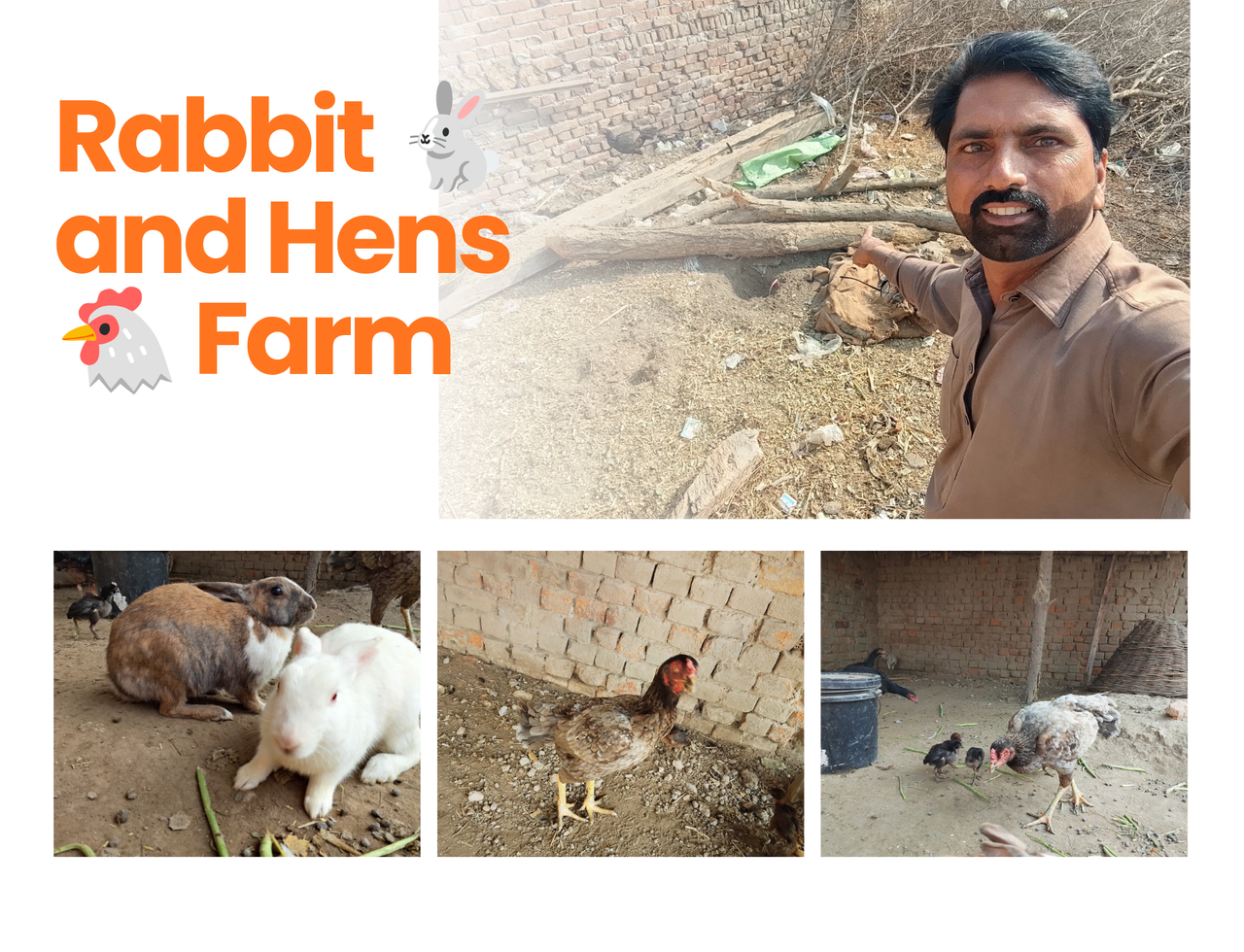 Rabbit 🐇 and Hens 🐔🐓 Farm