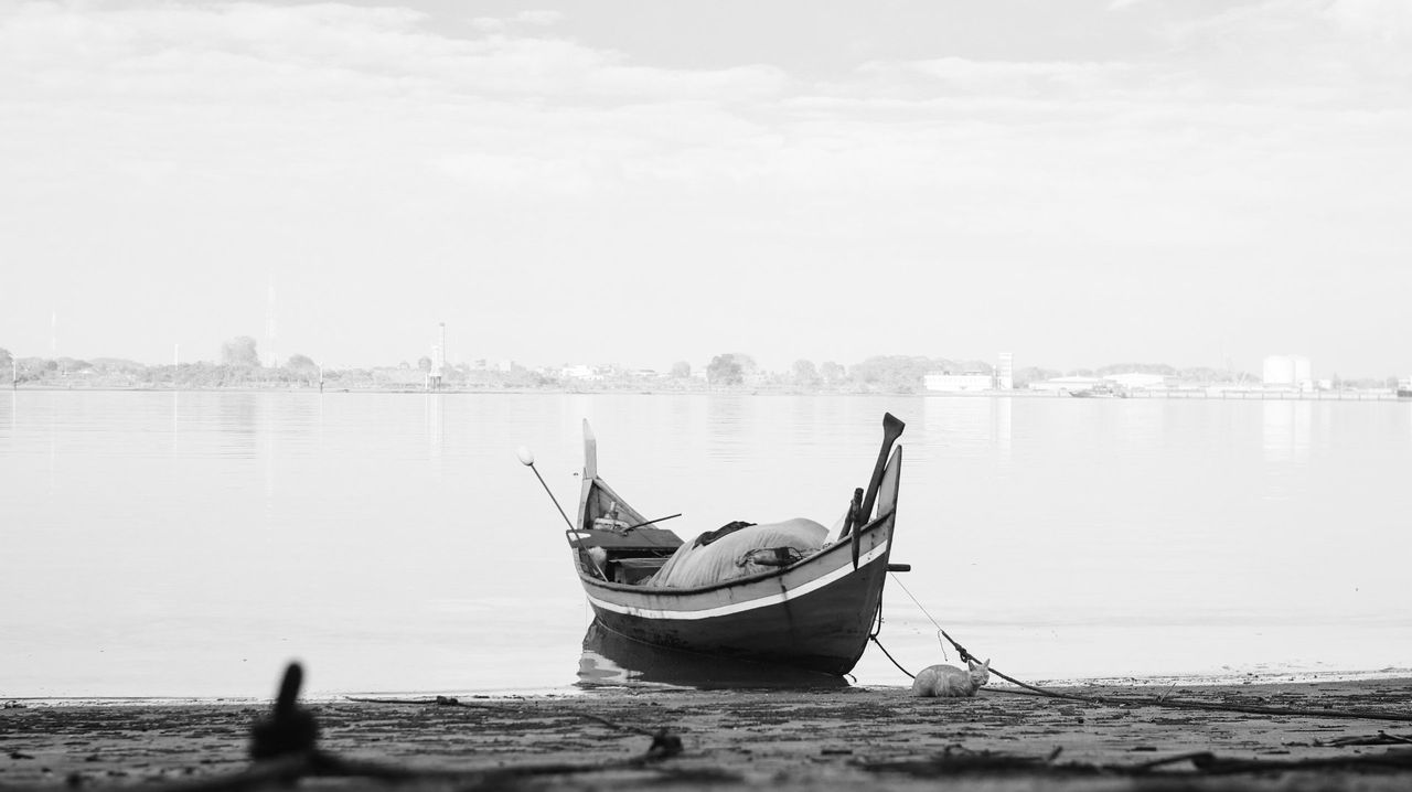 BOATS, BEACH LIFE, AND SCENERY IN THE MORNING