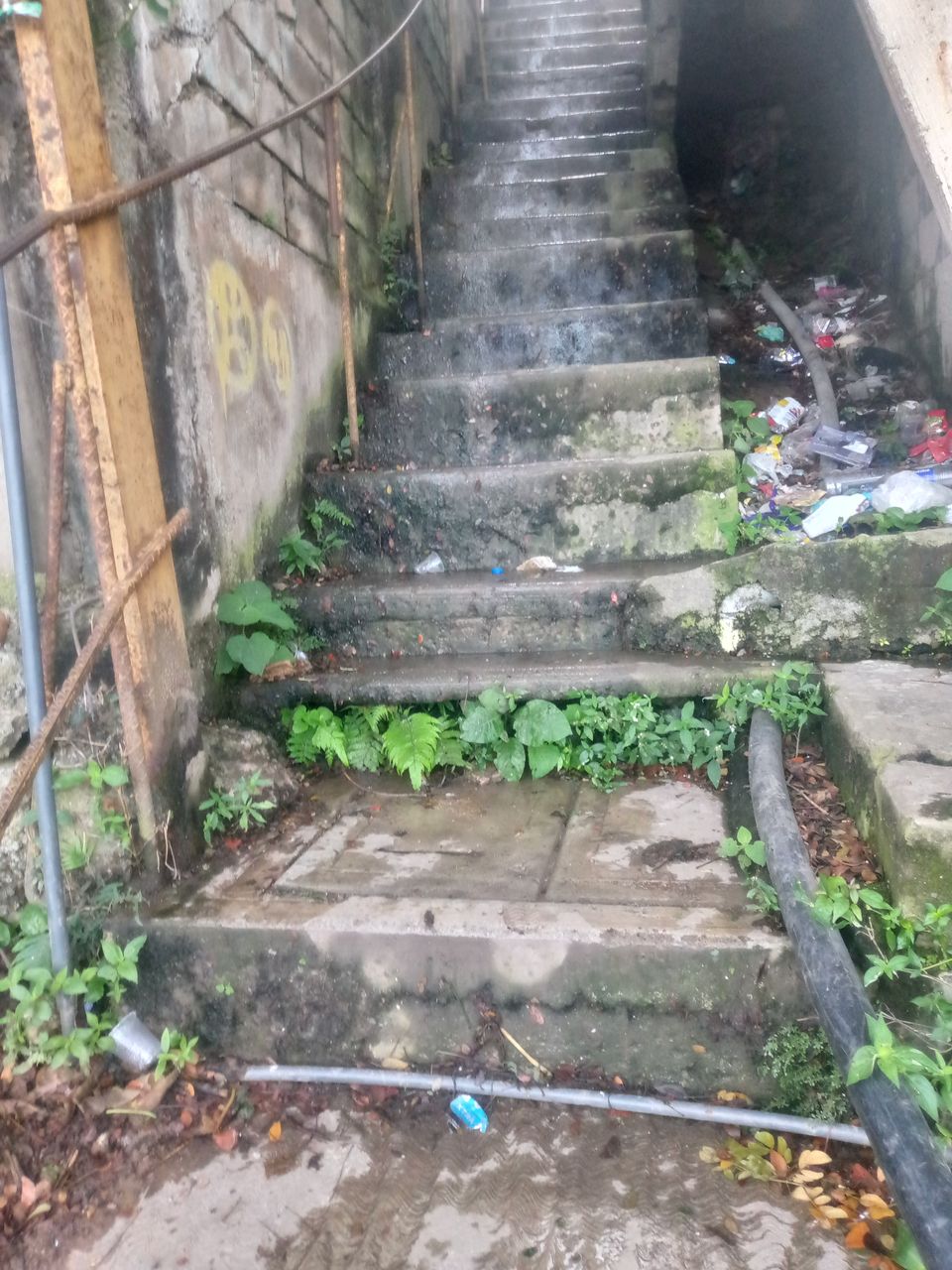 ¡ Cosas que me molestan de la calle y de mi comunidad !