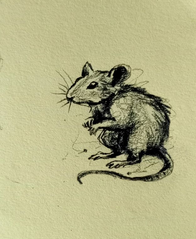 Mouse 