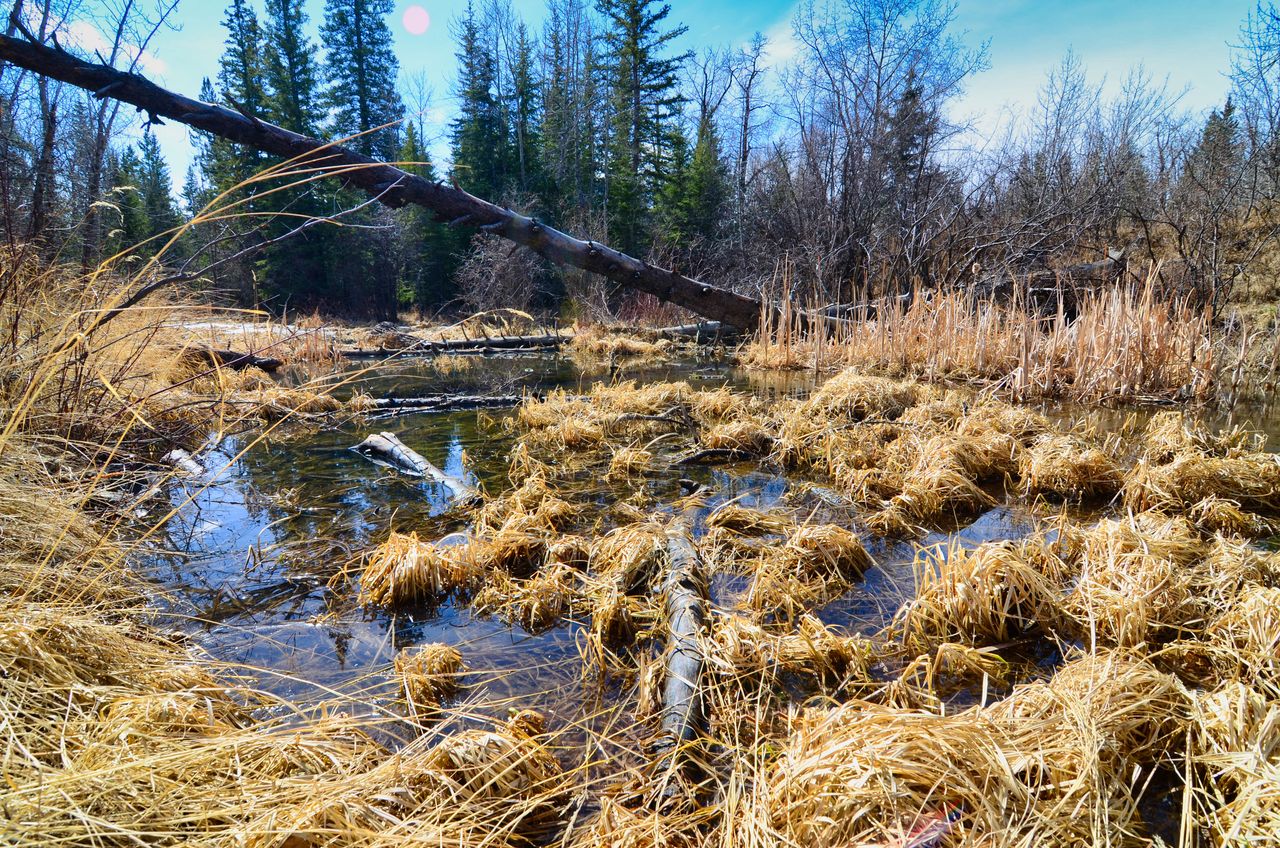 Fish Creek Provincial Park