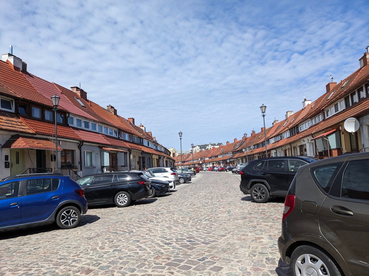 Przyrodnicza wycieczka po Koloniach