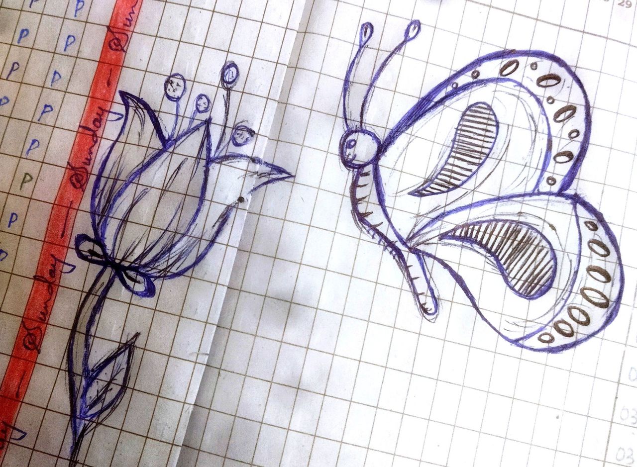 ✨My blue pen 🖊️ Drawing   Flower with Butterfly 🦋