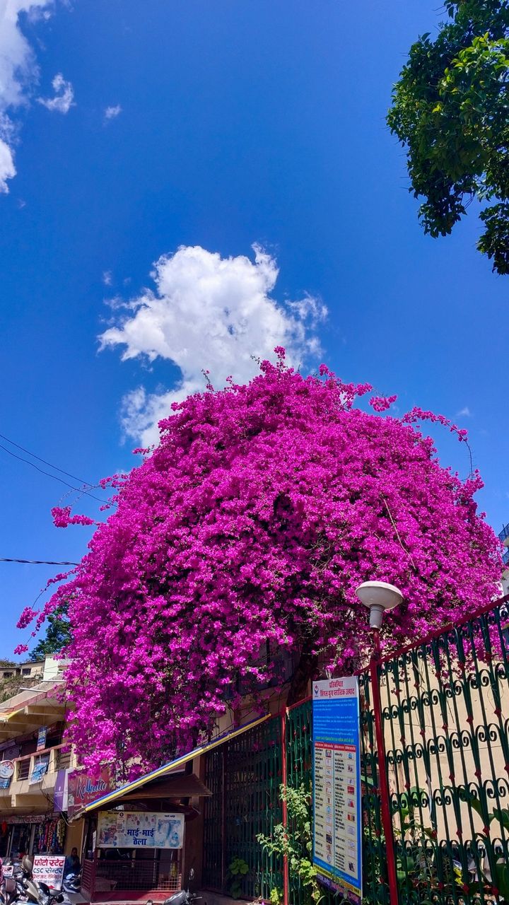 Nature photography  