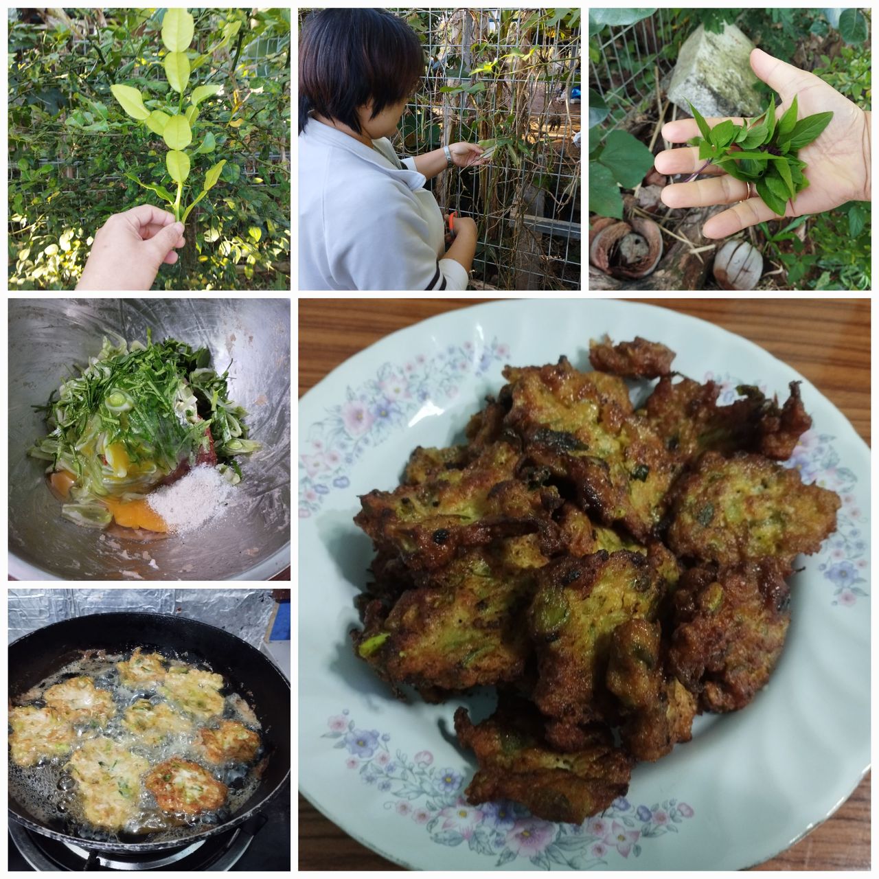 Crispy thai chicken cakes my wife made were from chemical free vegetables in the home garden.