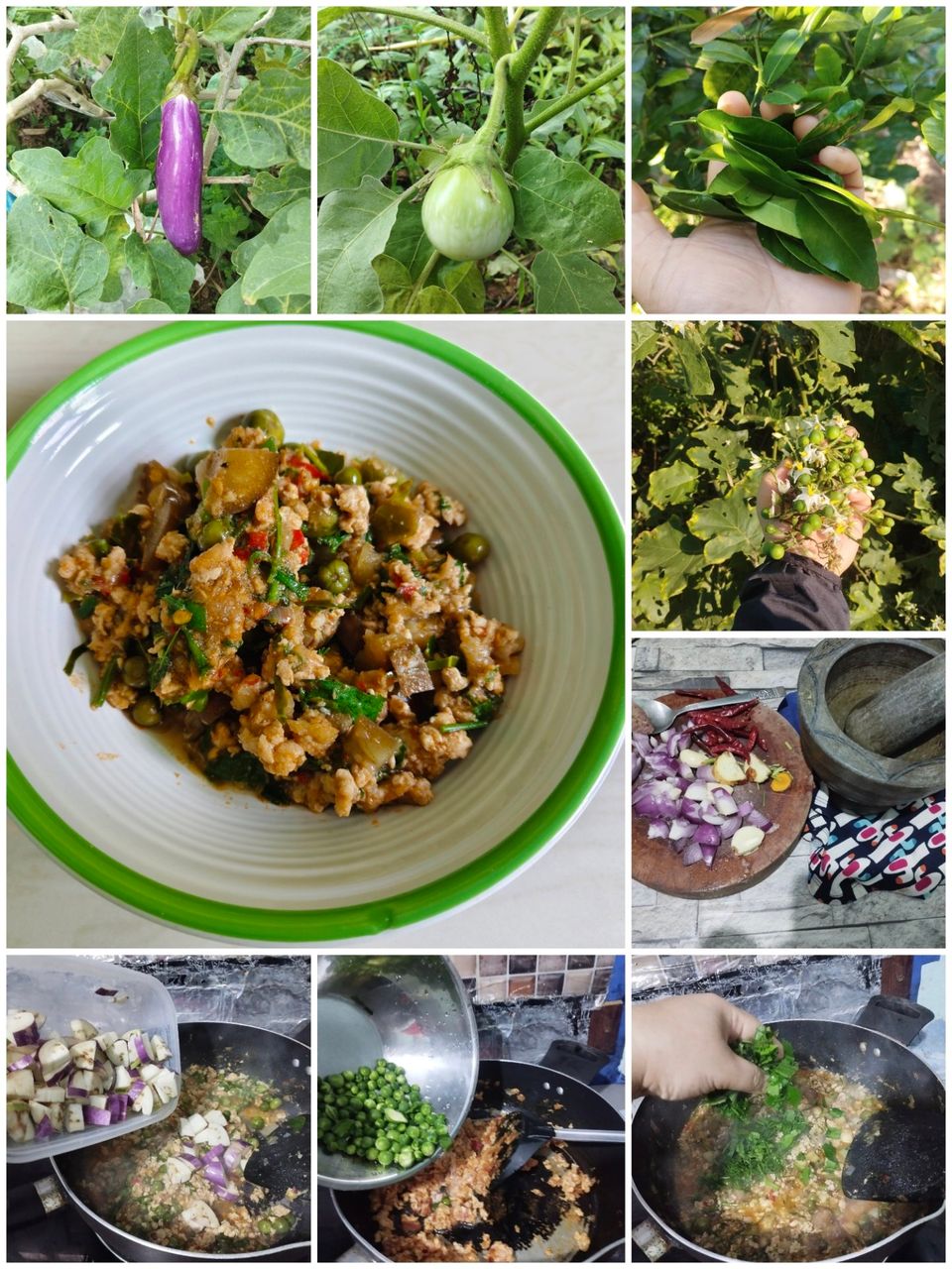 Stir-fried curry paste with minced pork and mixed vegetables from chemical free vegetables in the home garden.