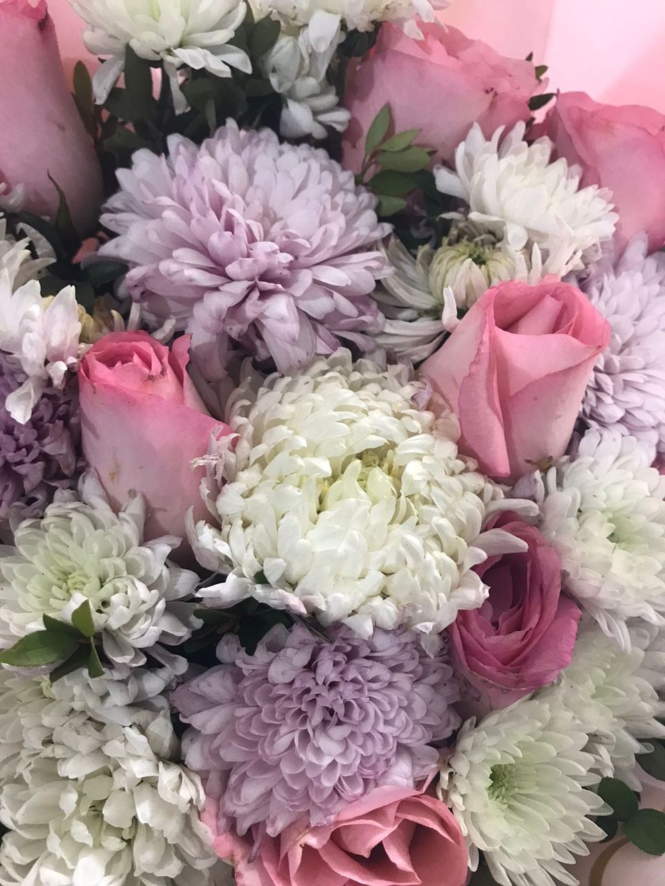 Flowers: The Beauty of the World