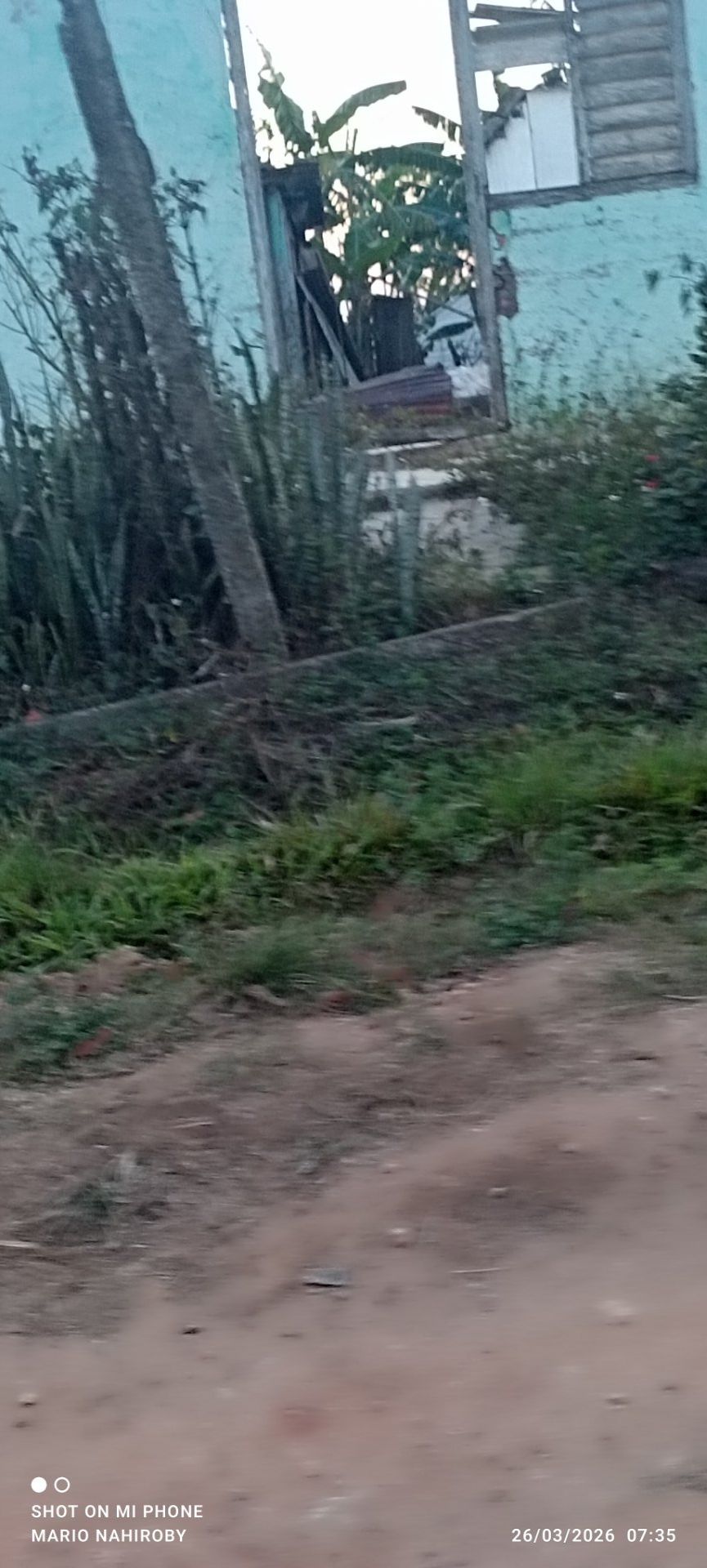 Riqueza. ¿ Familia o independencia?