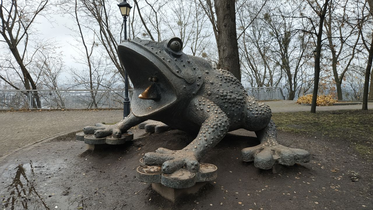Жаба ледь не задавила