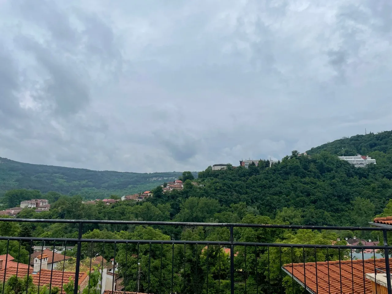 IMG_2319.jpeg