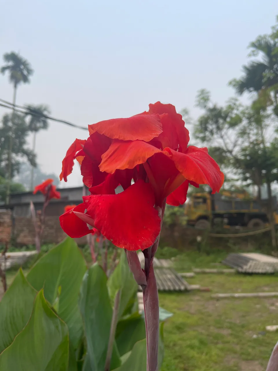 IMG_7427.jpeg