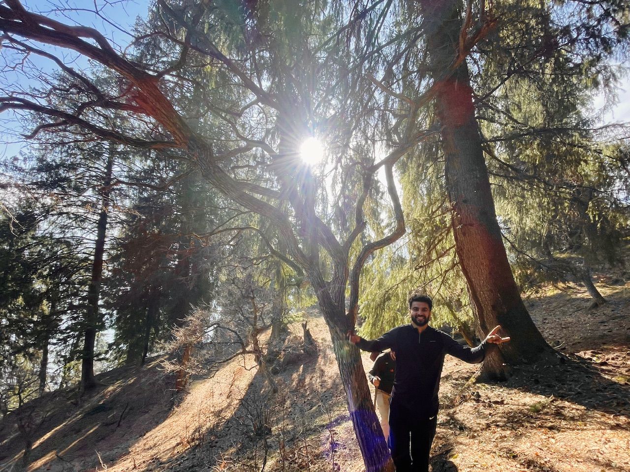 Lost in the woods at sunrise, capturing silence and golden light deep in the Himalayas.