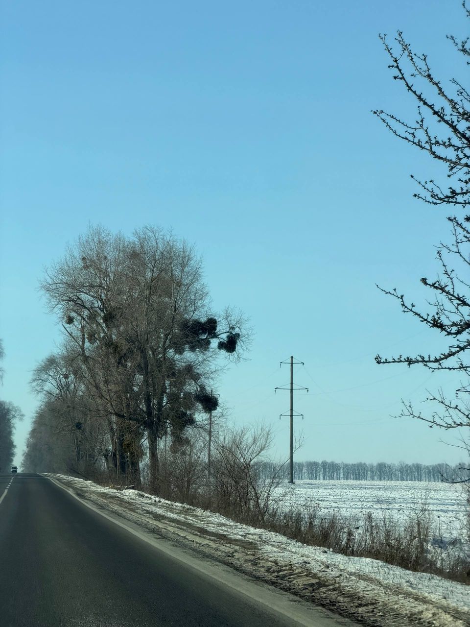 IMG_0505.jpeg