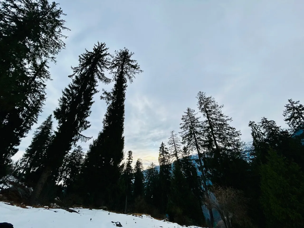 IMG_7175.jpeg