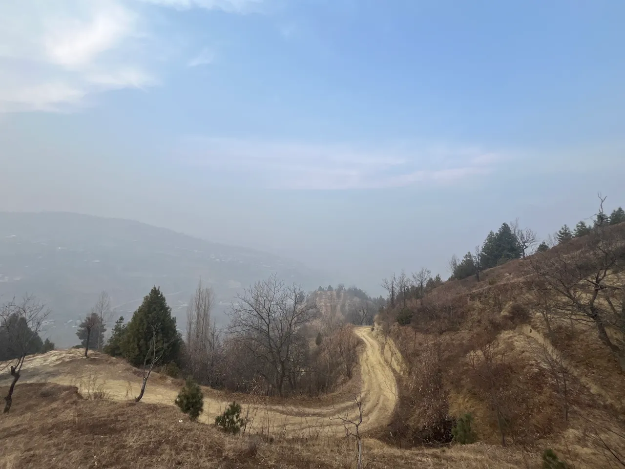 IMG_6086.jpeg