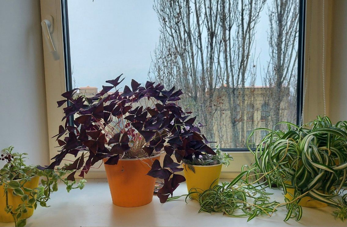 Creating a comfortable space