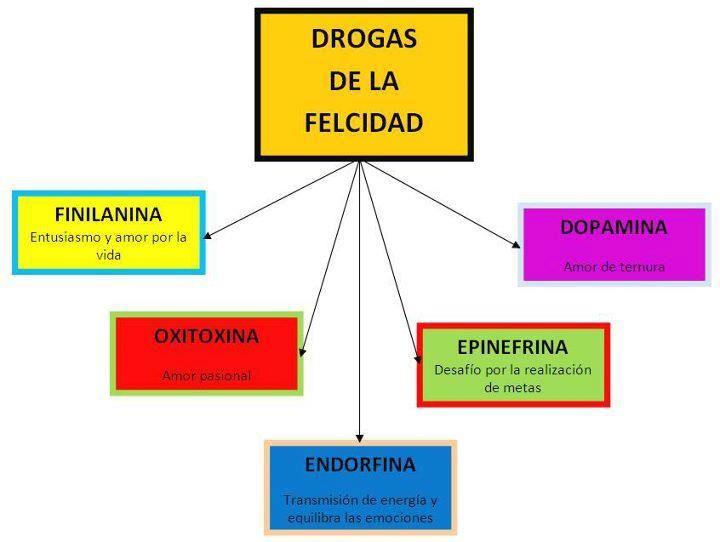 felicidad.jpg