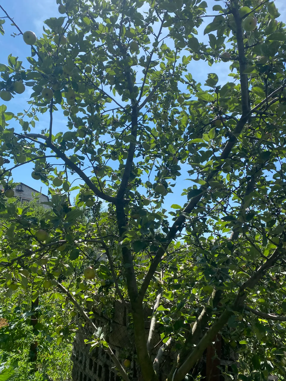 IMG_8980.jpeg