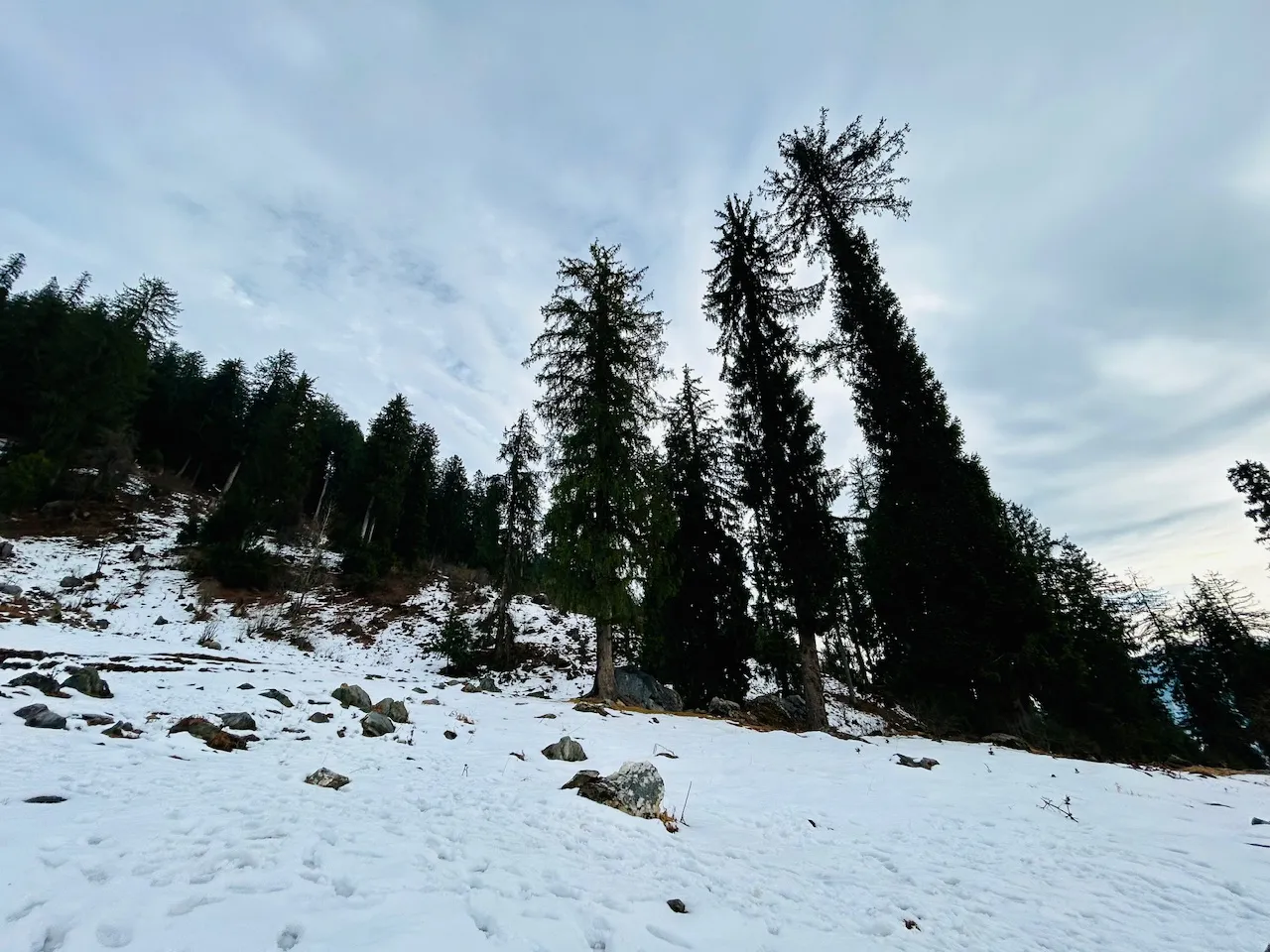IMG_7173.jpeg