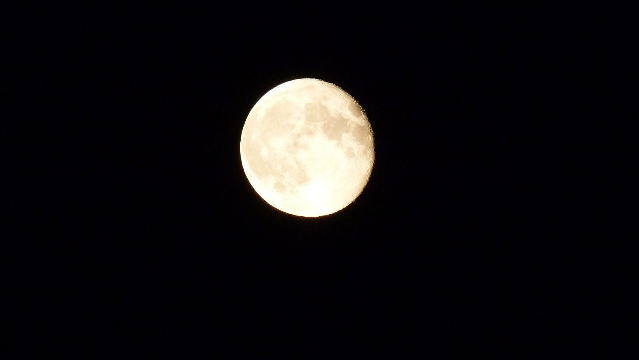 IMG_1852.jpeg