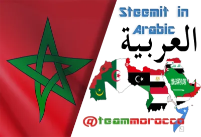 teammorocco congrats arabic.png