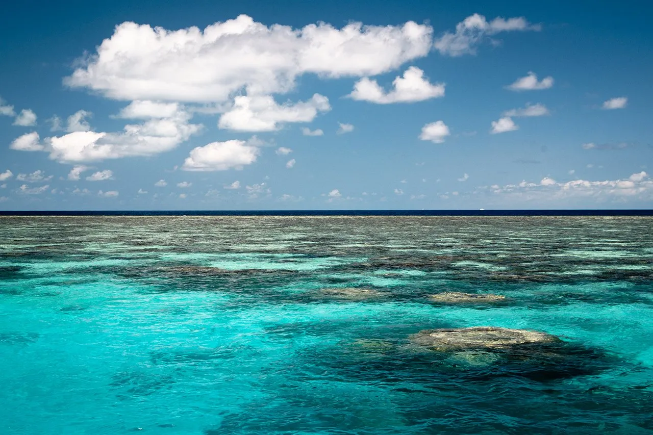 ocean.jpg