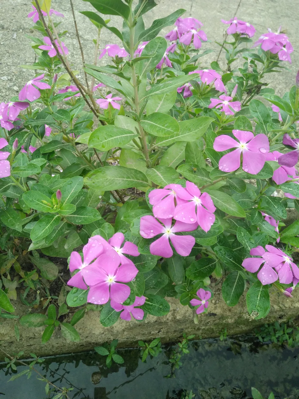 IMG20180128142920.jpg