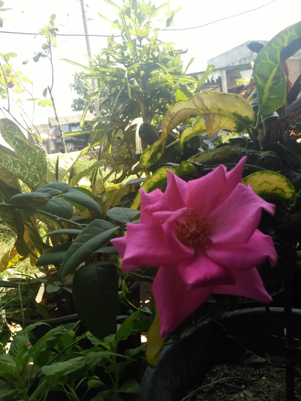 IMG20180130124158.jpg