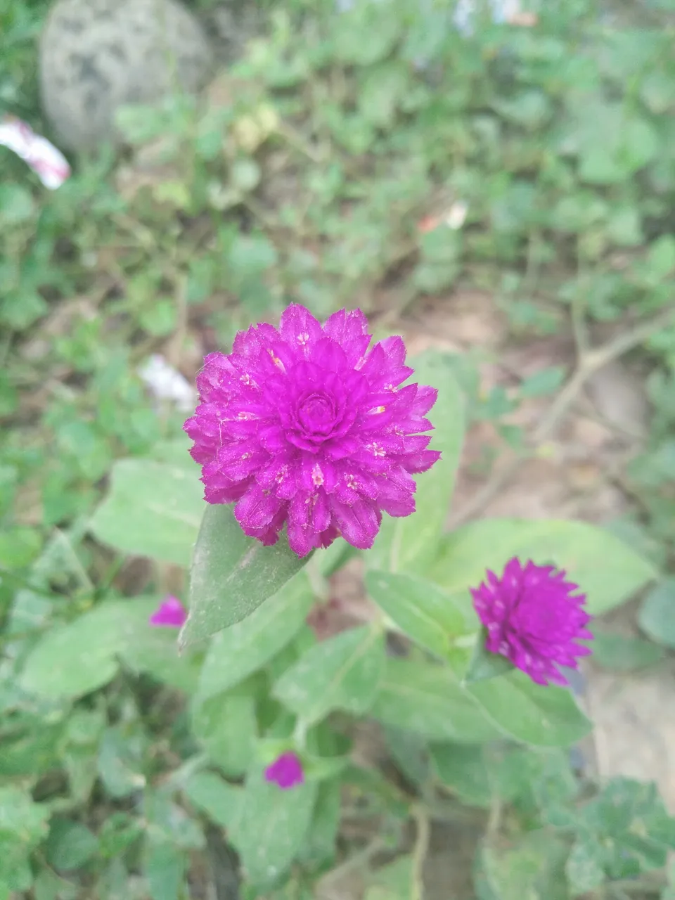 IMG20180128092913.jpg