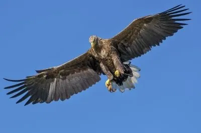 1753002_S.jpg