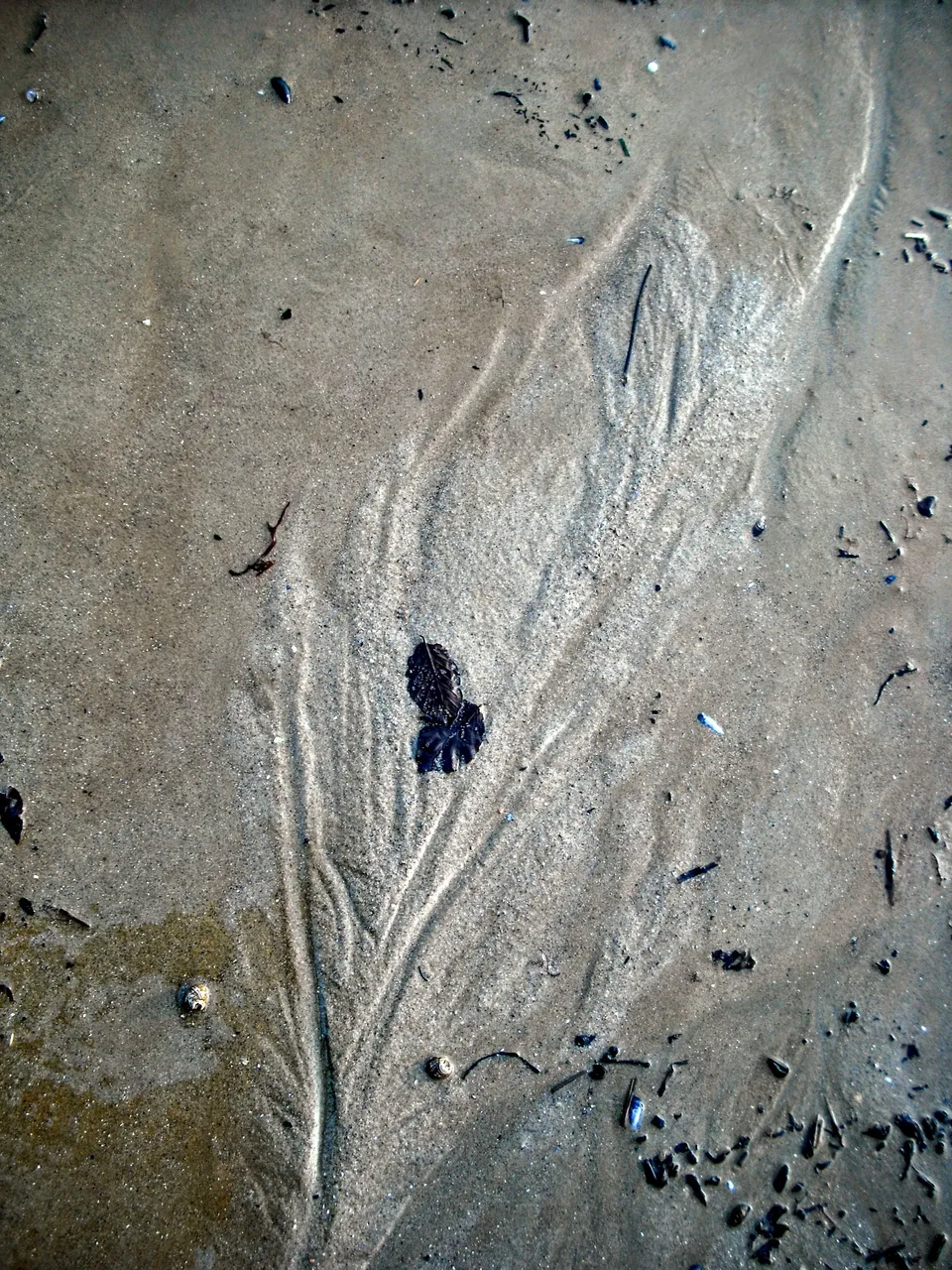 DSCF5405.jpg