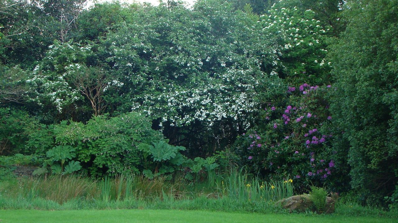 DSC08581.jpg