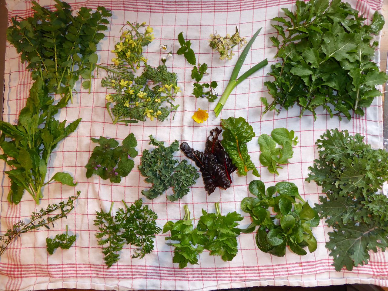P1000270.JPG