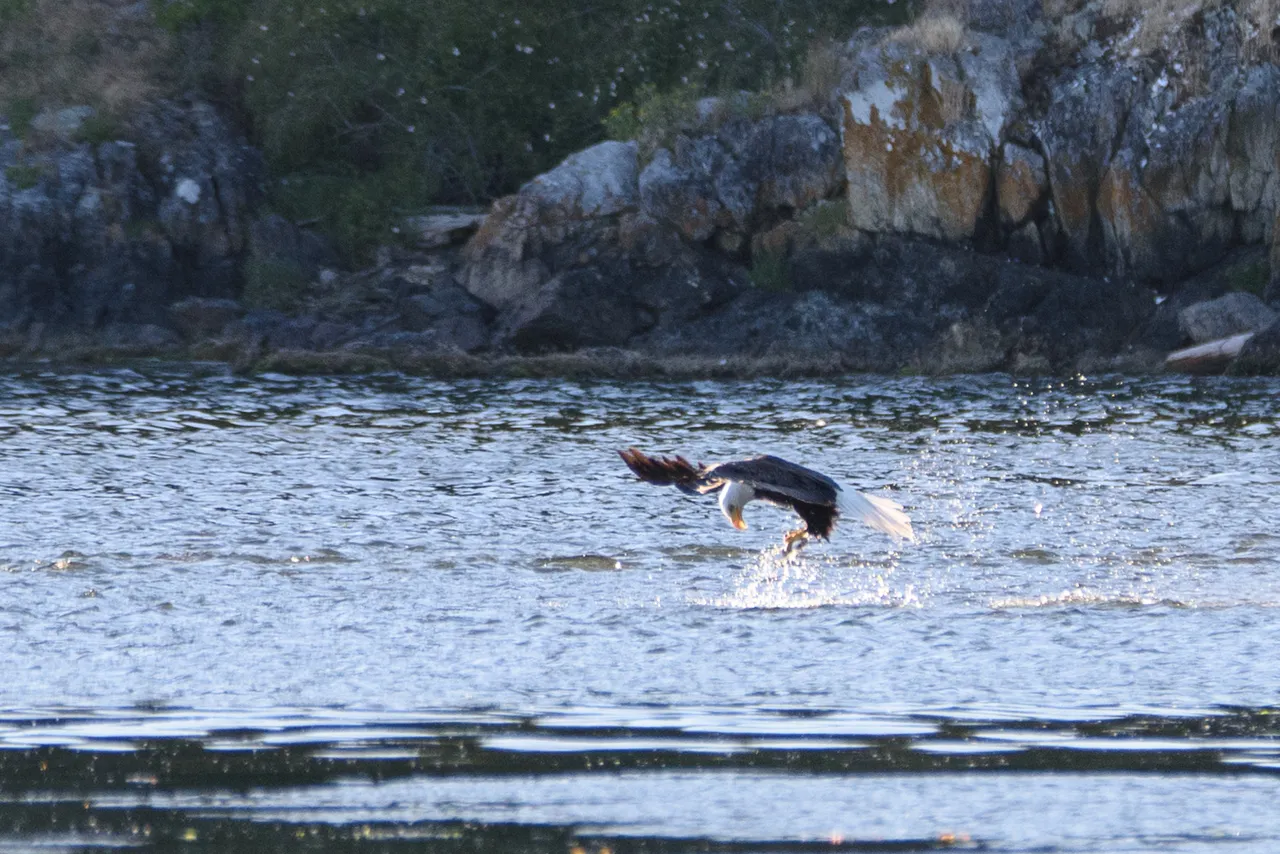 DSC_3261.jpg