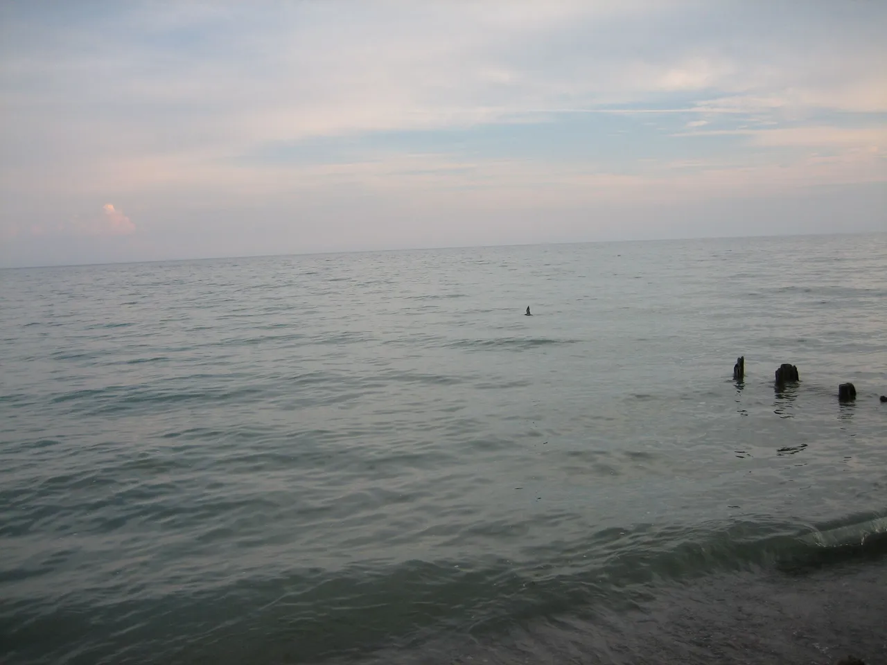 IMG_0045.JPG