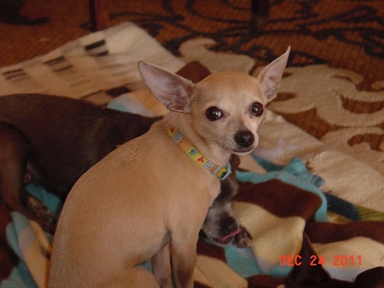 DSC01324.JPG