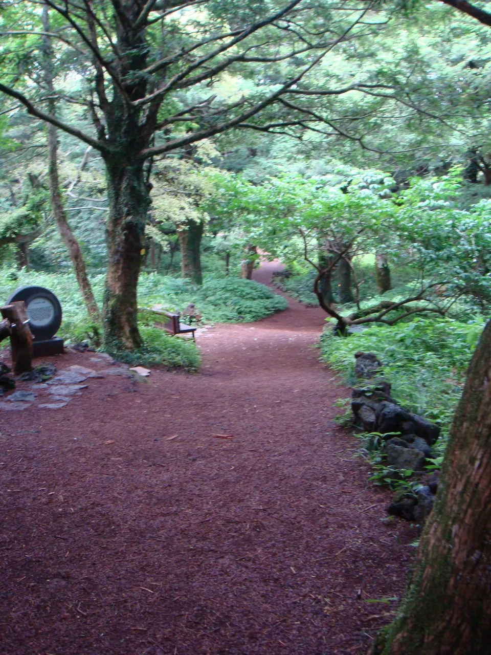 DSC00273.JPG