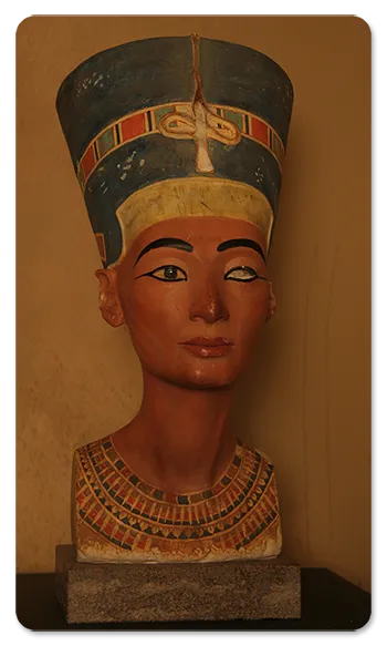 IMG_5884.png