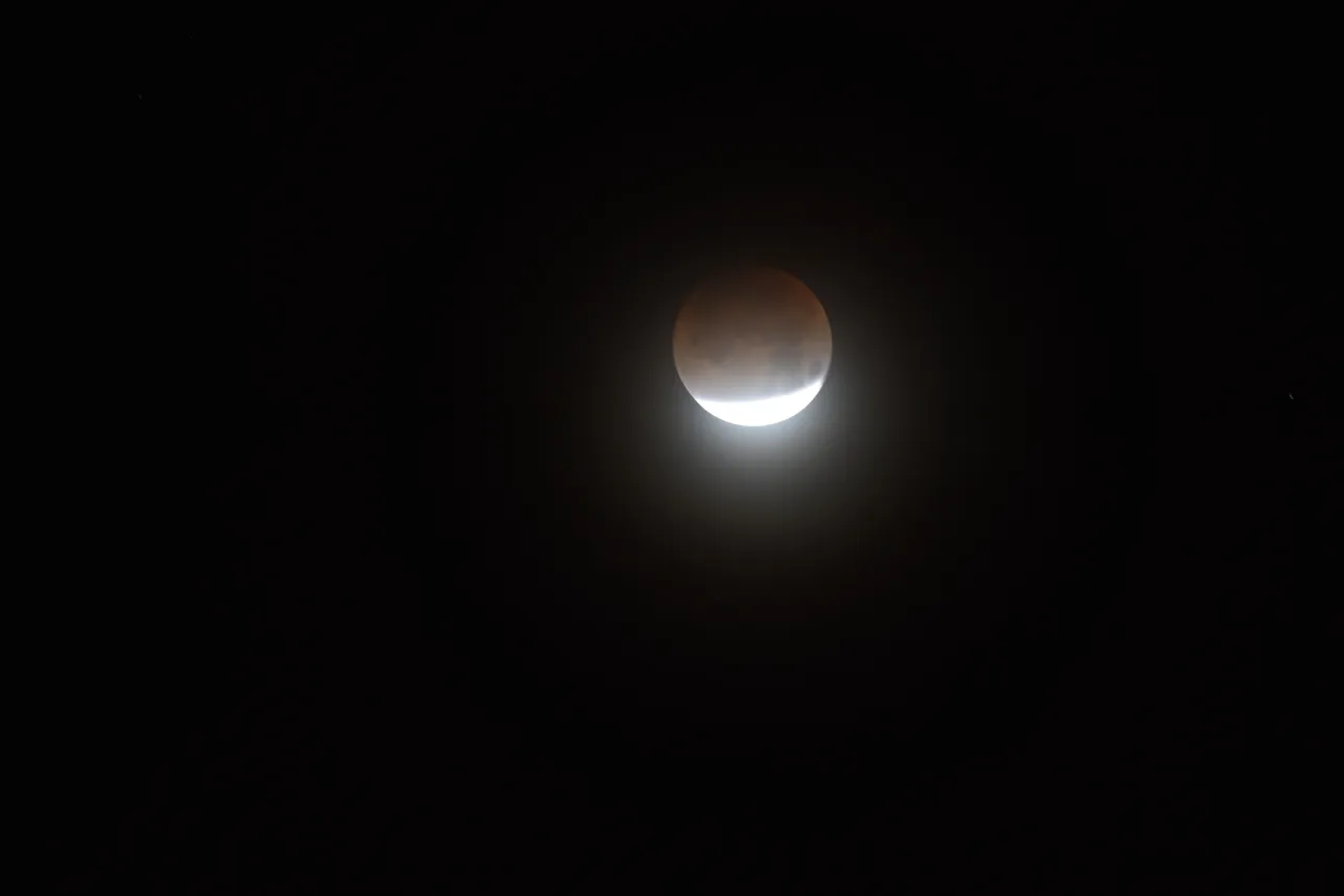 DSC_1369.JPG