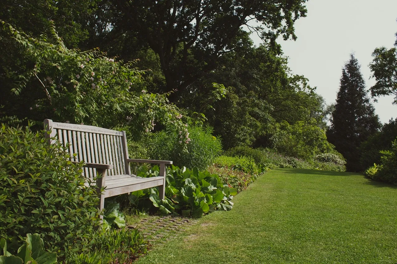 Garden 1.png