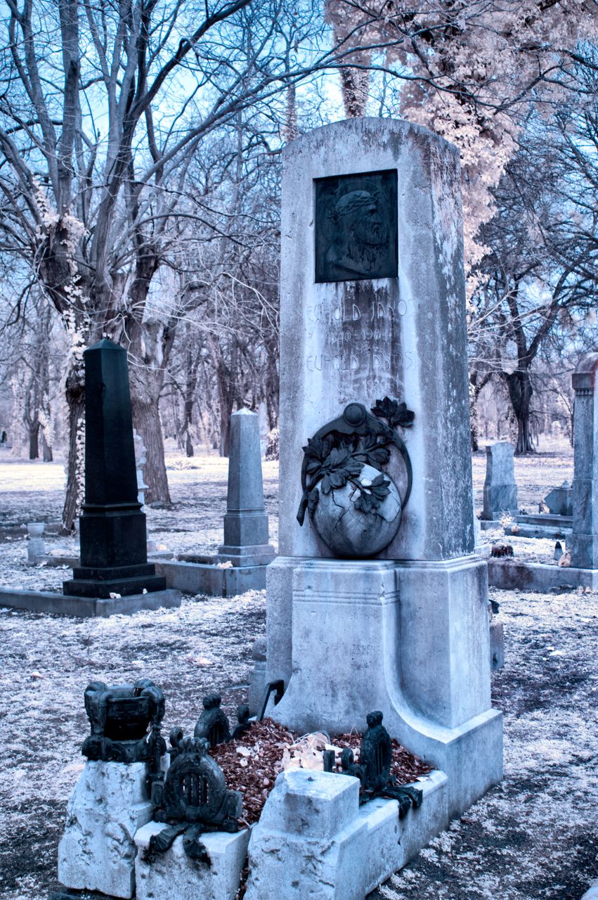 DSC_0563.jpg